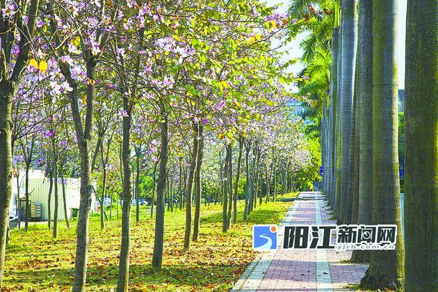 江南庭院下载安装-江南庭院最新红包版下载v106-52PK游戏网